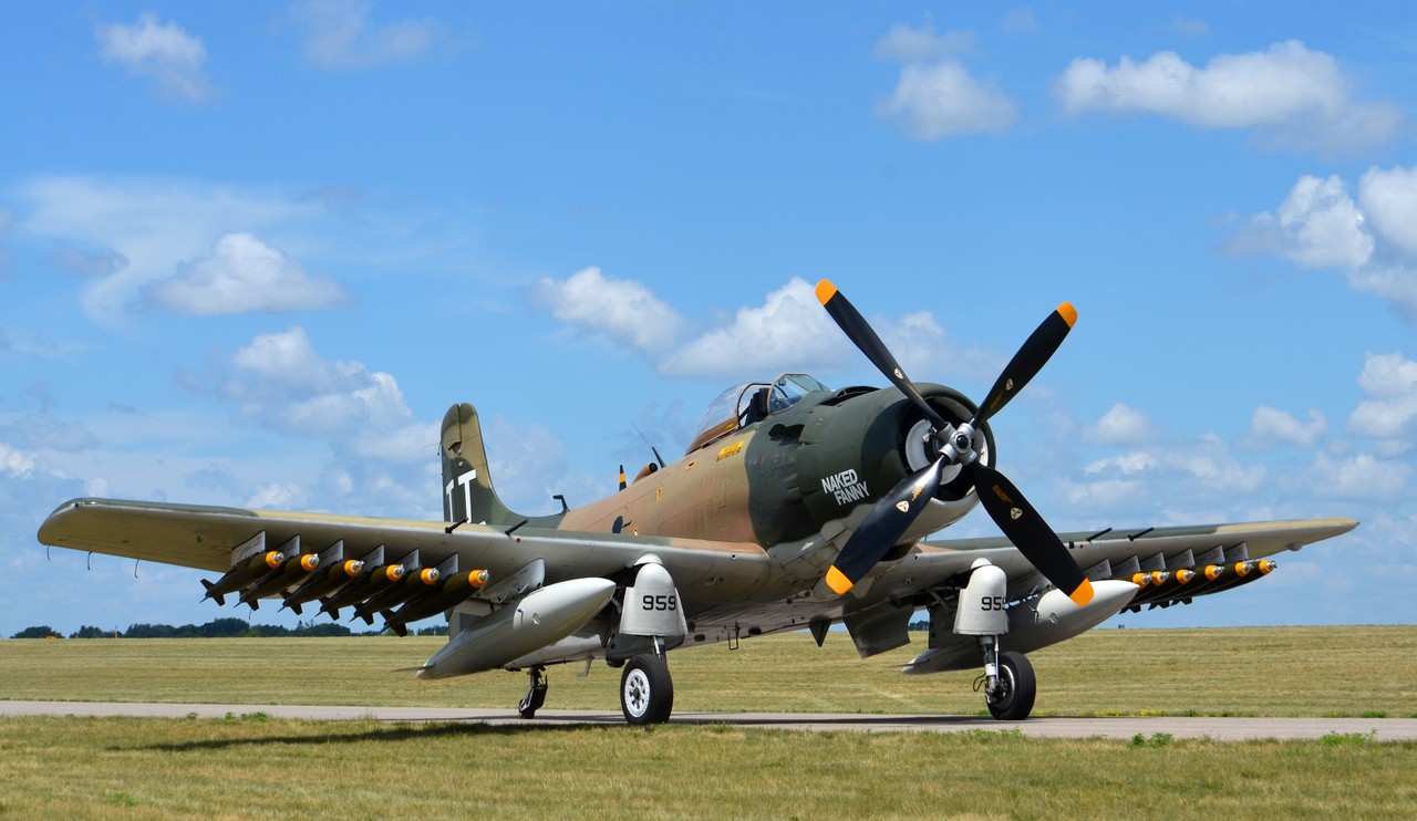 Picture of Douglas Aircraft Company A-1 Skyraider