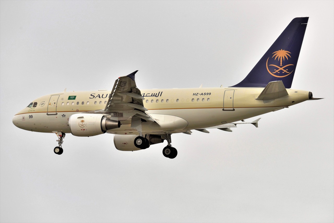 Airbus A318 111