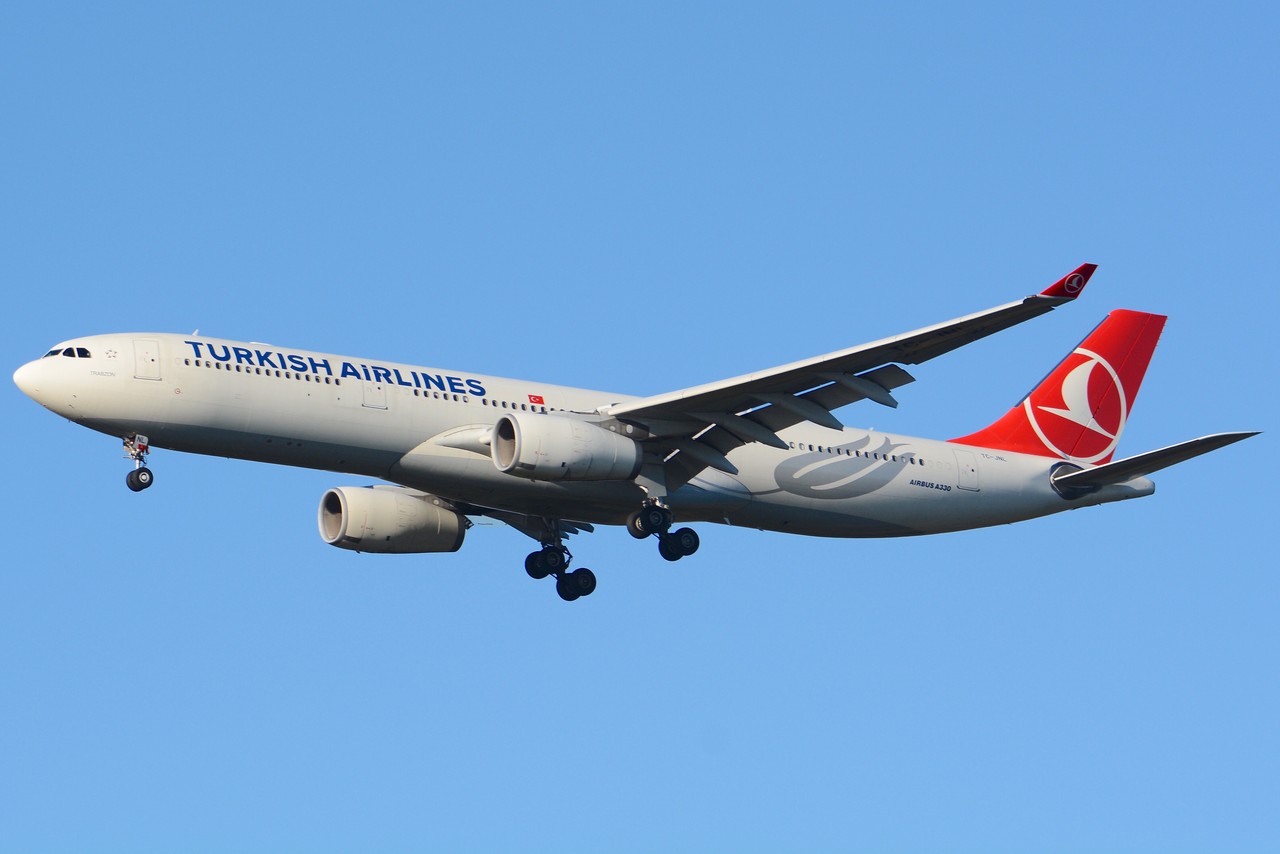 Picture of Airbus Industries A330