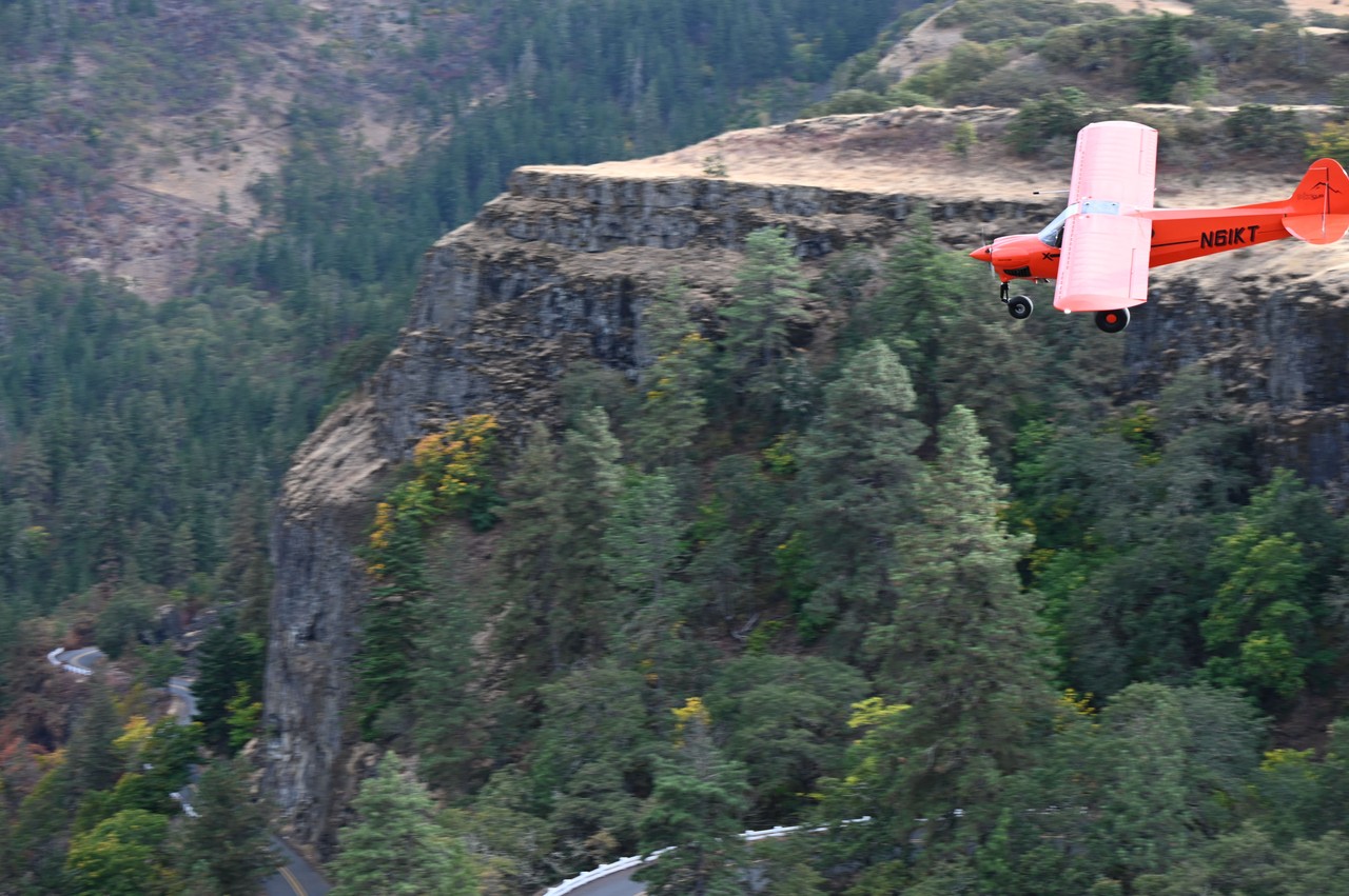 Picture of CubCrafters CC-19 XCub