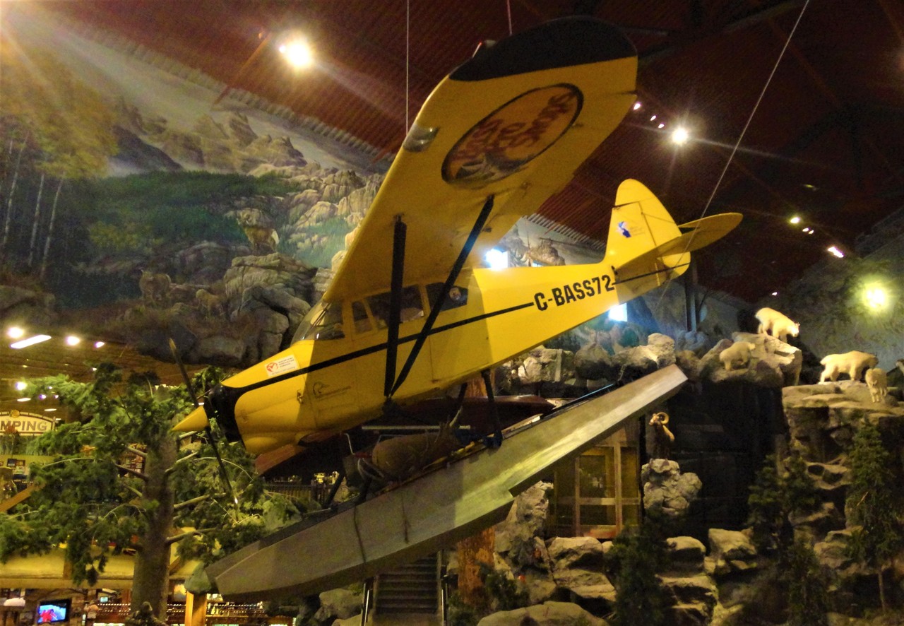 Picture of De Havilland Canada DHC-2 Mk3 Turbo Beaver