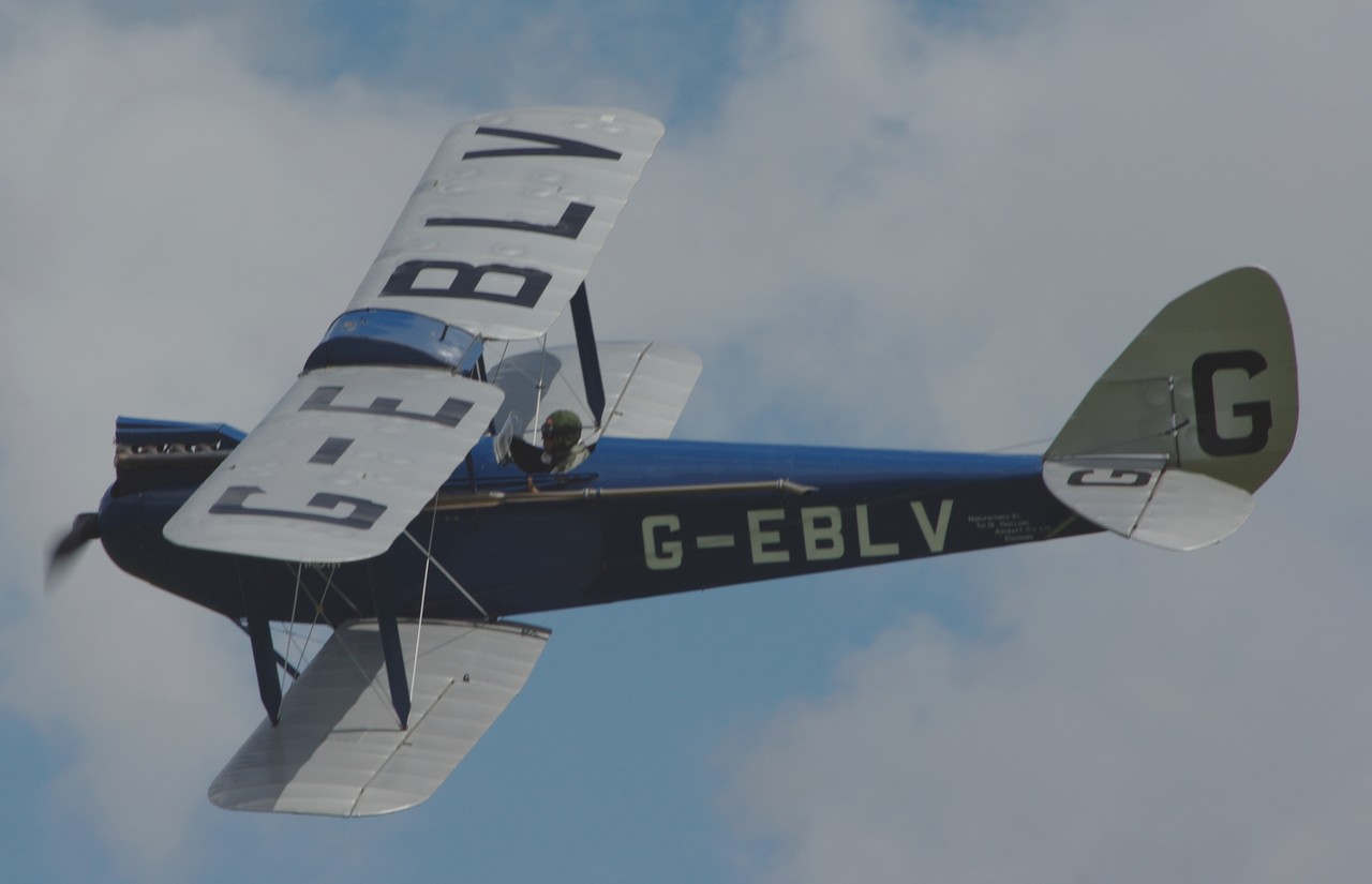 Picture of de Havilland Aircraft Company DH-60 Moth