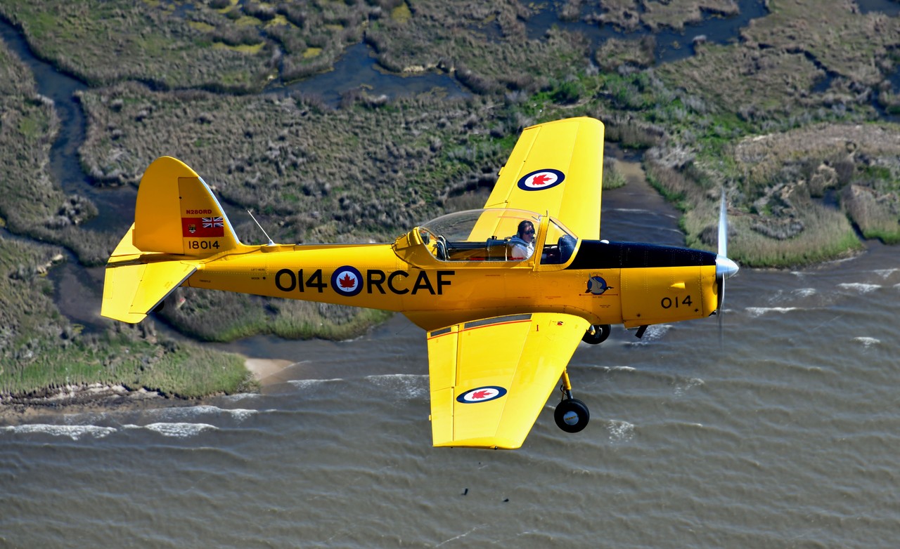 Picture of de Havilland Canada DHC-1 Chipmunk
