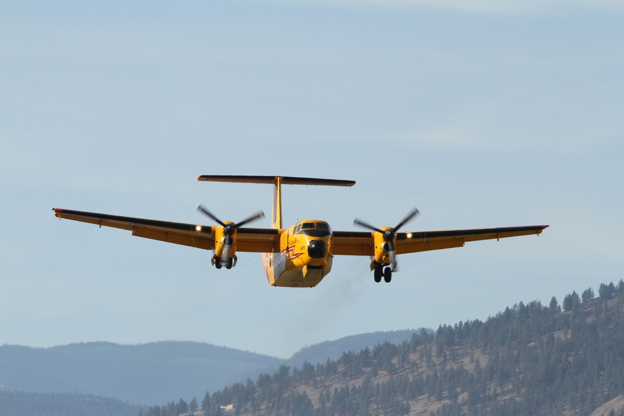 Picture of De Havilland Canada DHC-5 Buffalo