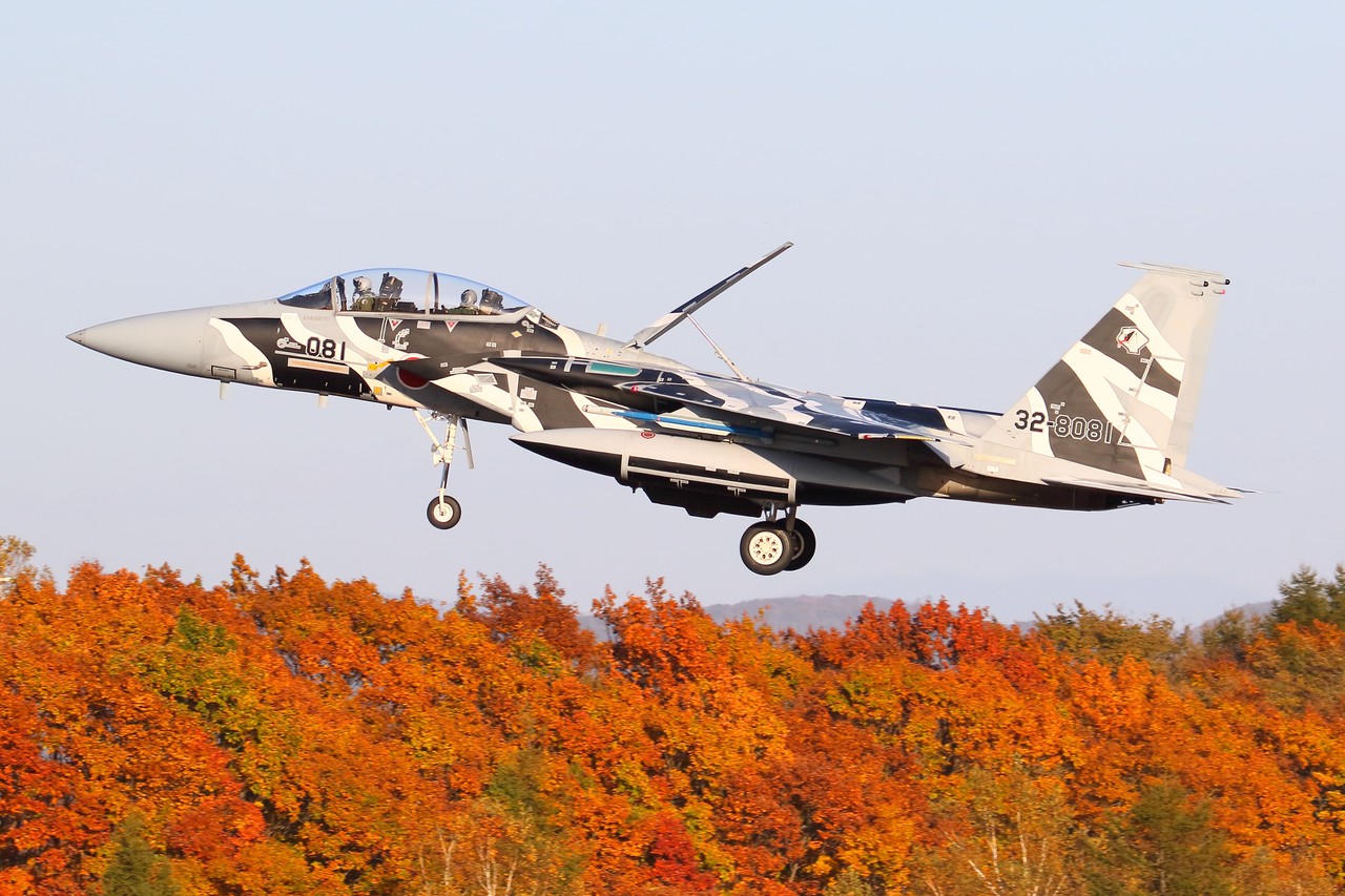 Picture of McDonnell Douglas Corporation F-15 Eagle