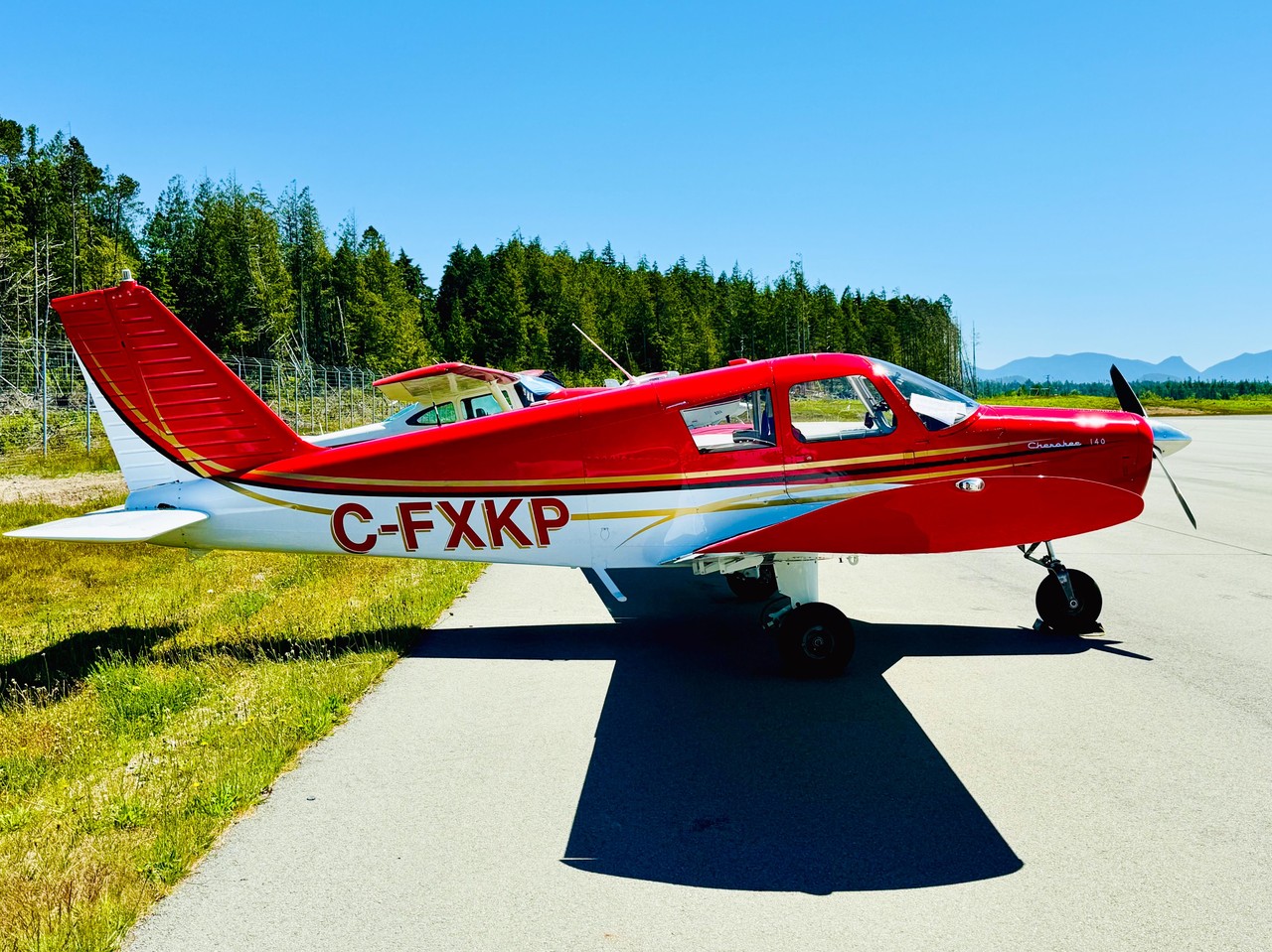 Picture of Grumman American Aviation Corporation GA-7 Cougar