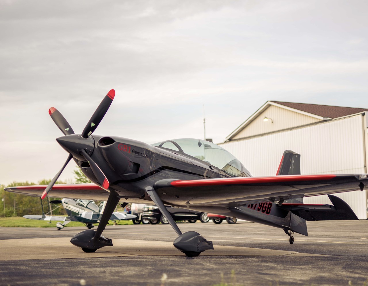 Picture of Game Composites GB-1 GameBird