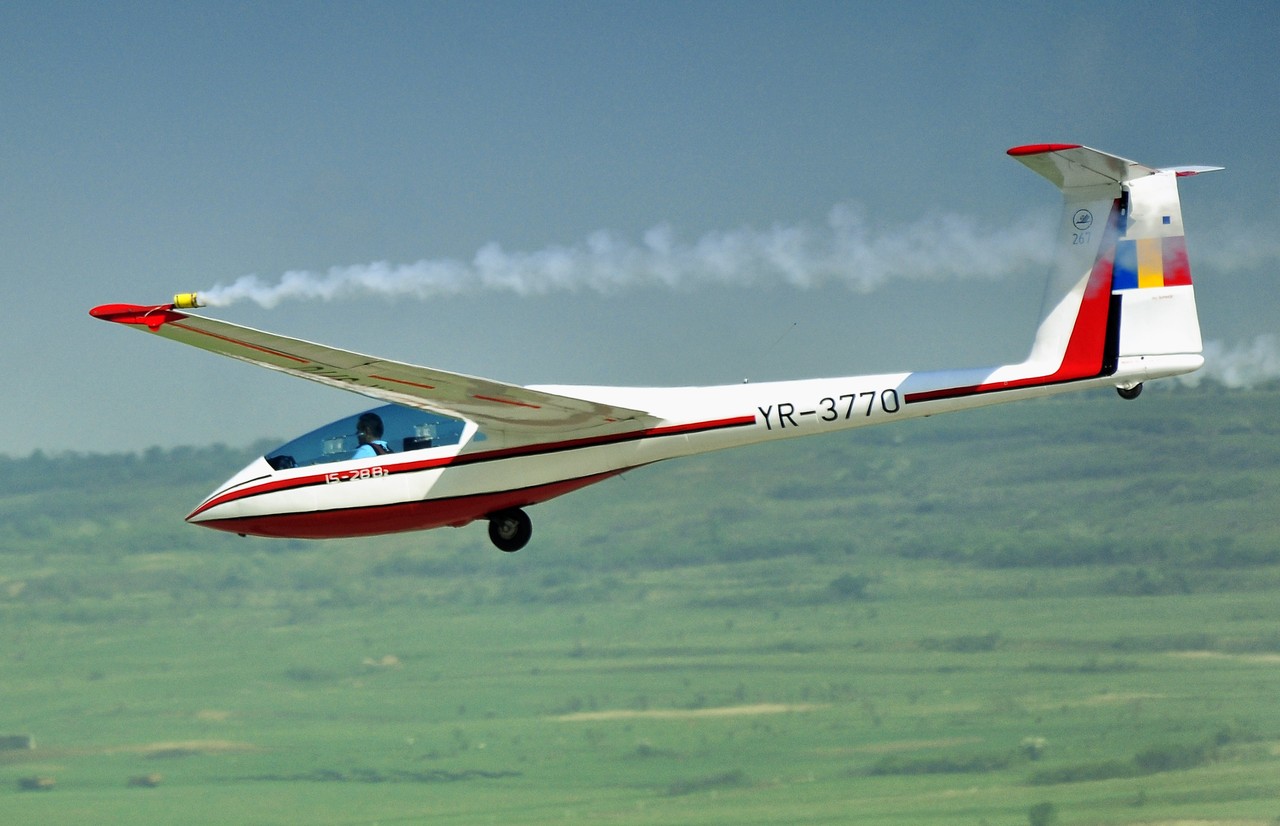 Picture of ICA-Brasov (Intreprinderea de Constructii Aeronautice) IS-28M 2/G