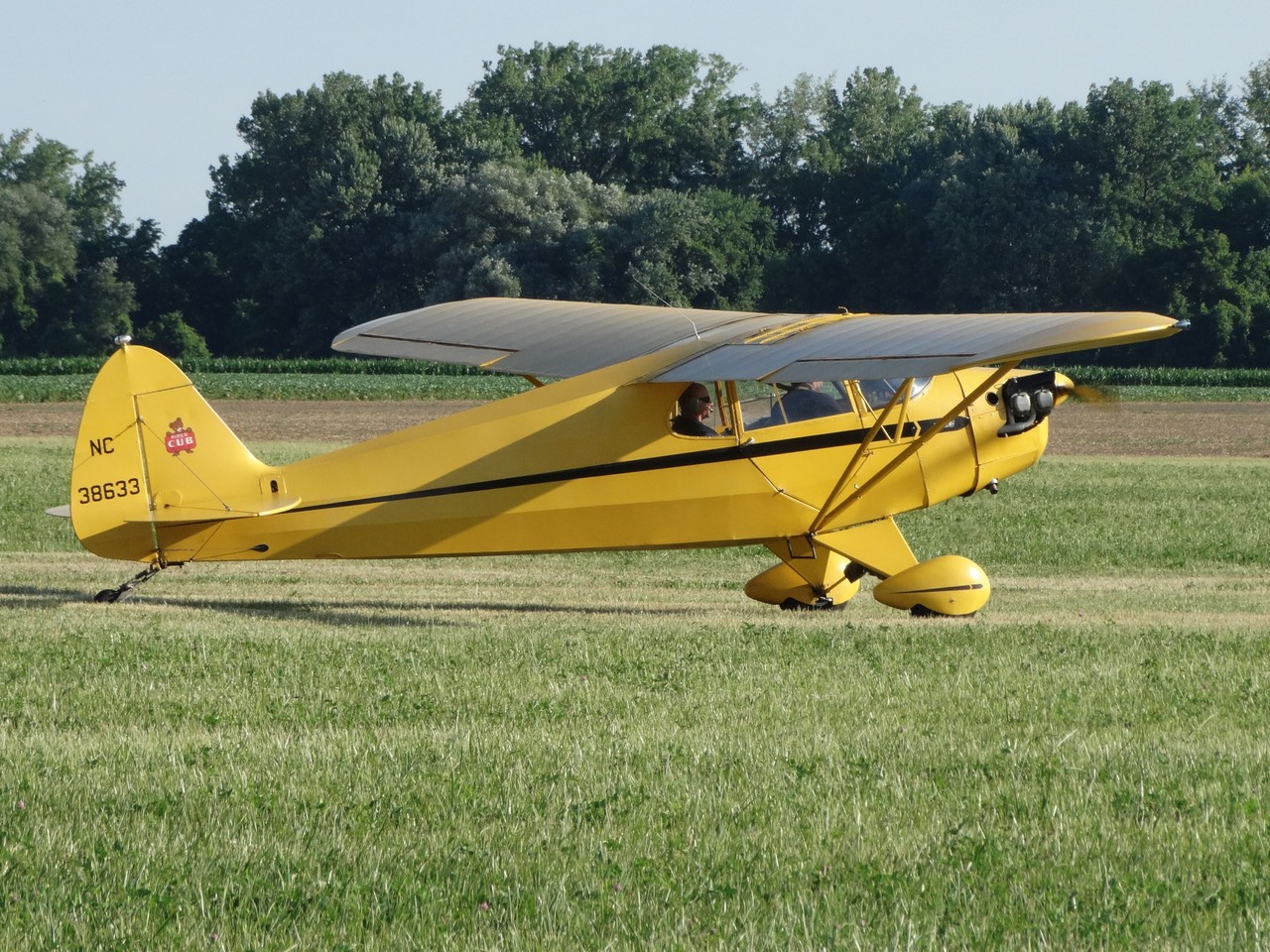 Picture of Piper Aircraft Corporation J-5 Cub Cruiser