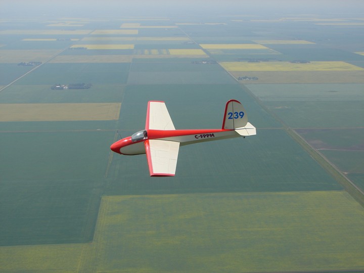 Picture of Schweizer Aircraft Corporation SGS 1-26