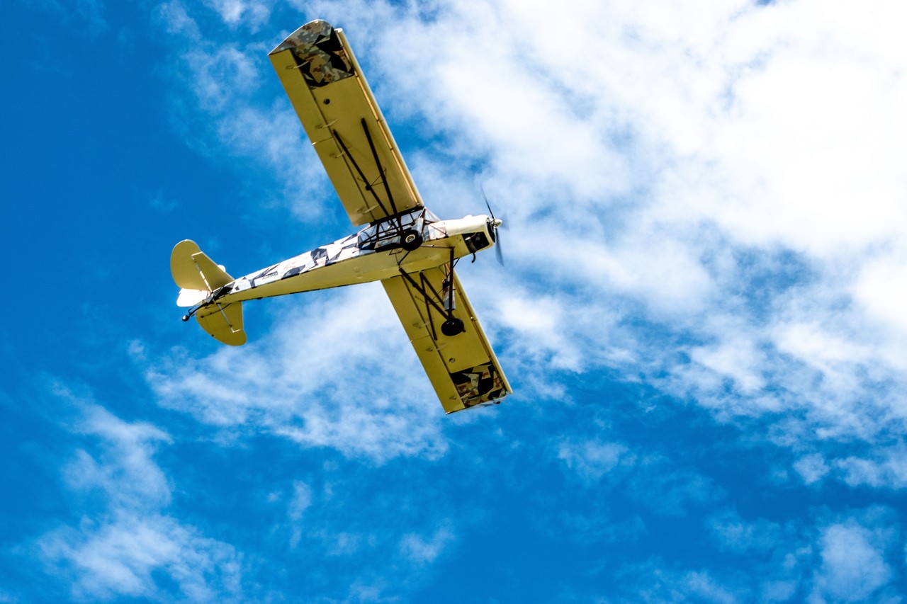 Picture of Slepcev Aircraft Industry SS-4 Storch