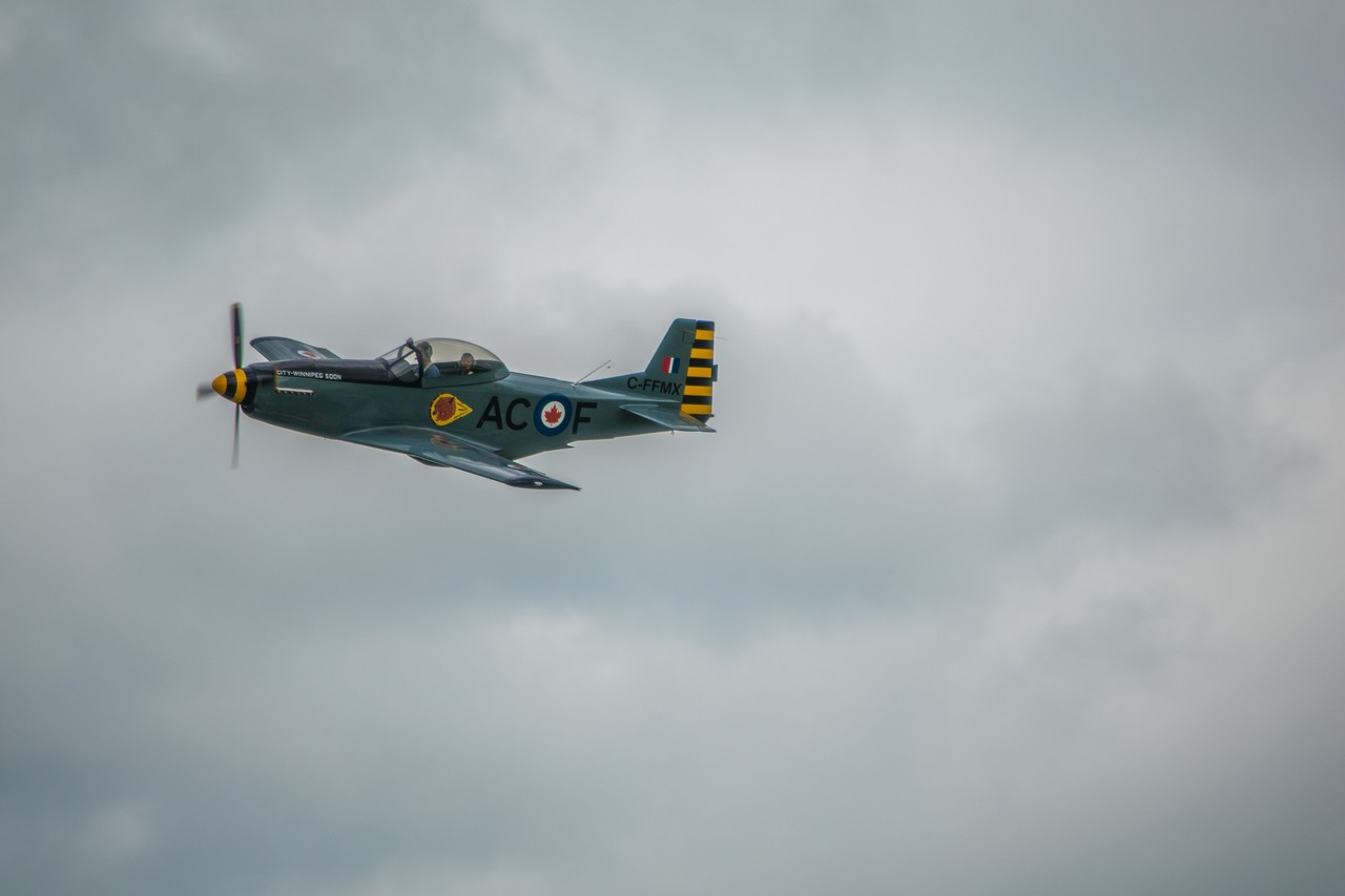 Picture of Titan Aircraft Company T-51 Mustang