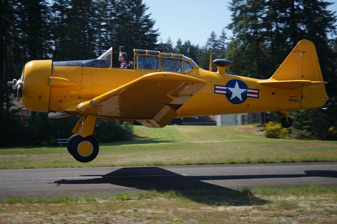Picture of North American Aviation AT-6 Texan