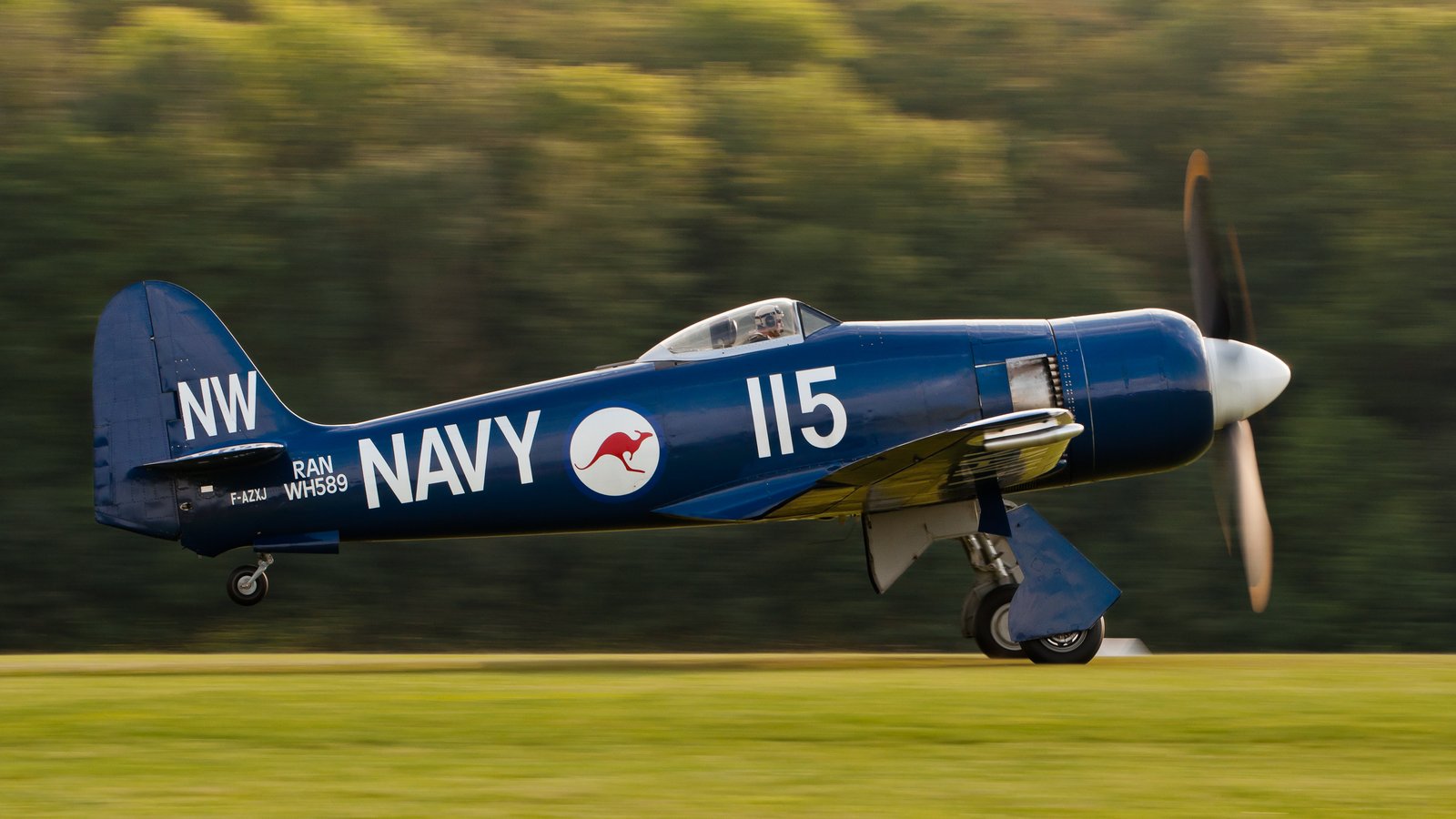 Aero Gare Sea Hawker — general aviation