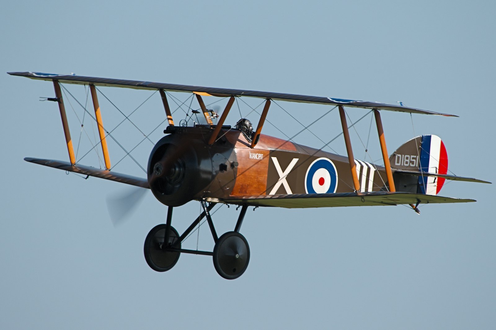 Experimental Aircraft Association Biplane — general aviation