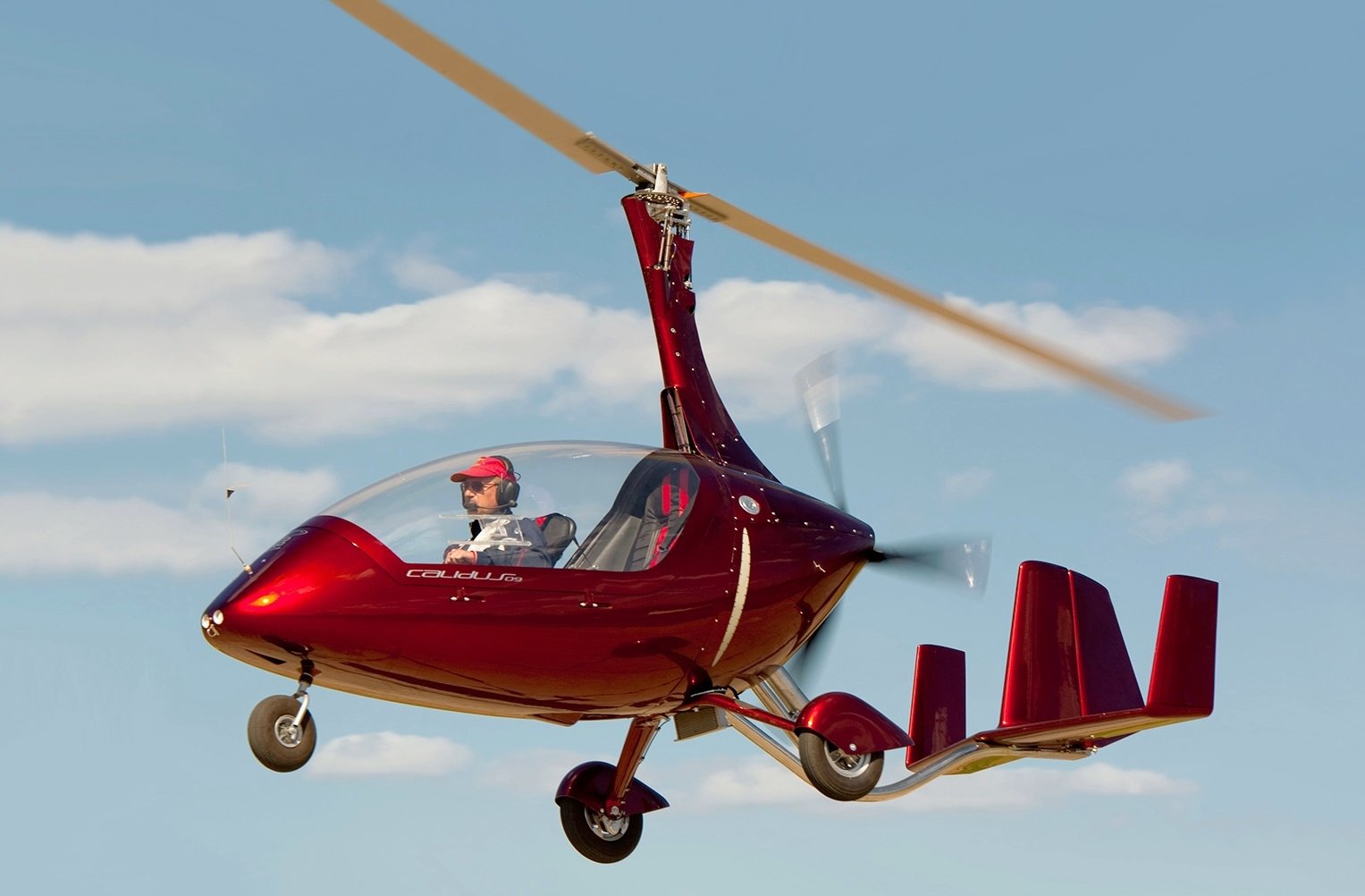 AutoGyro GmbH Calidus — general aviation