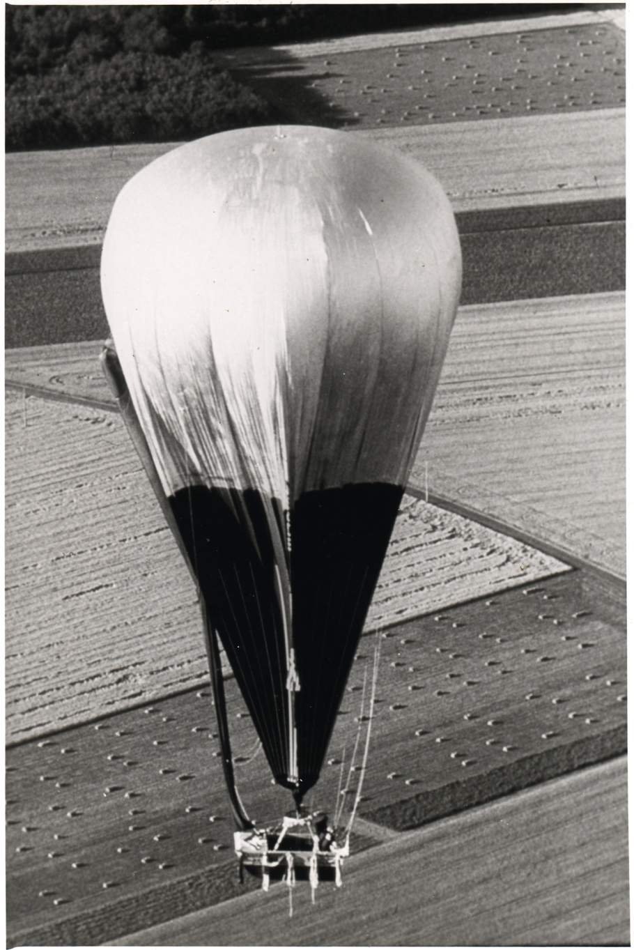 Amax Engineering Double Eagle — general aviation