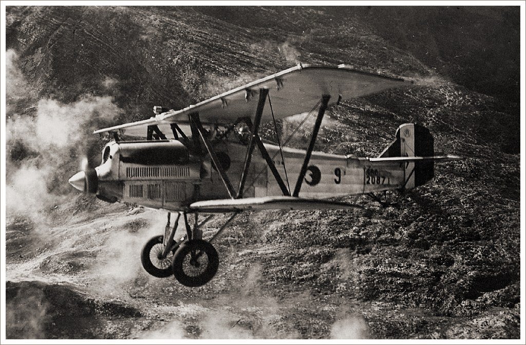 Fiat Aviazione CR.20 — fighter