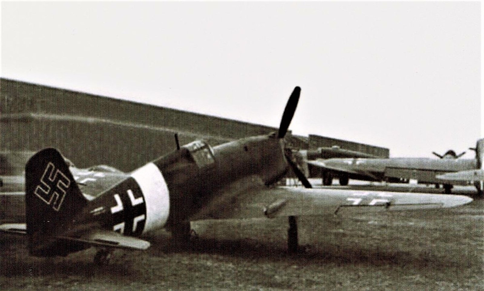 C F M Air S R L DARDO