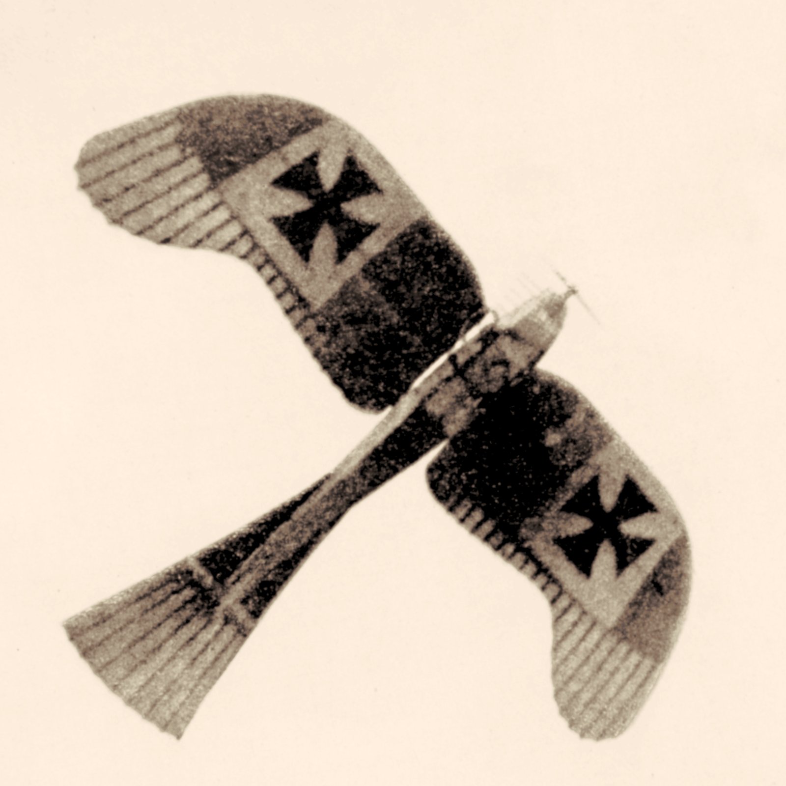 Igo Etrich Taube — reconnaissance
